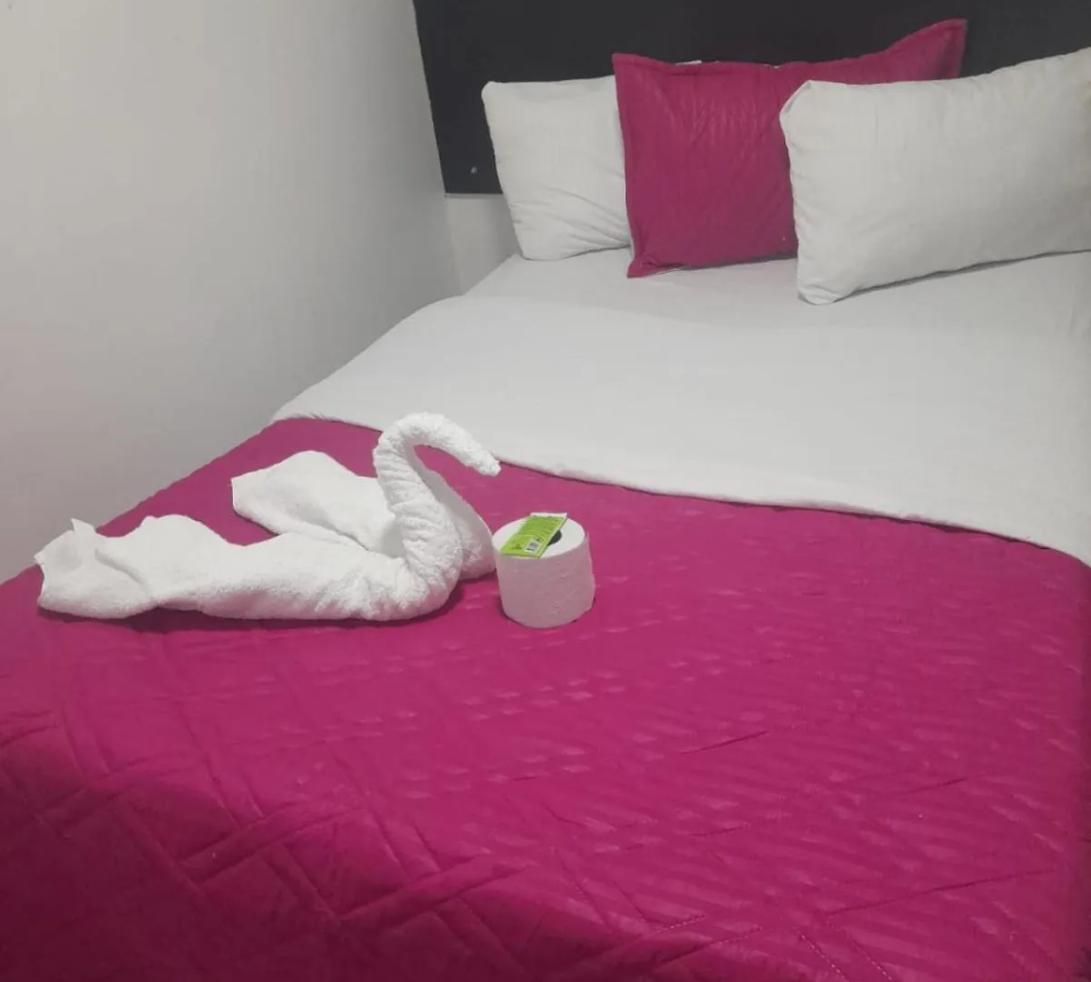 Hotel Vulcano Bogotá Colombia